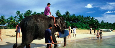 “迷醉海灘”尼甘布